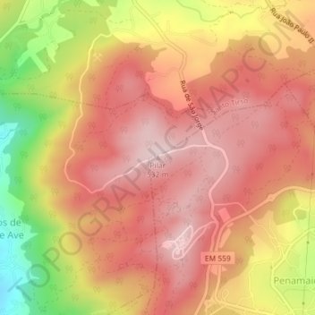 Pilar topographic map, elevation, terrain
