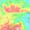 Aguas Buenas topographic map, elevation, terrain