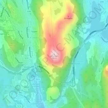 Bergen topographic map, elevation, terrain
