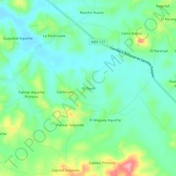 El Toyol topographic map, elevation, terrain