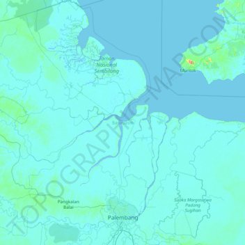 Banyuasin topographic map, elevation, terrain